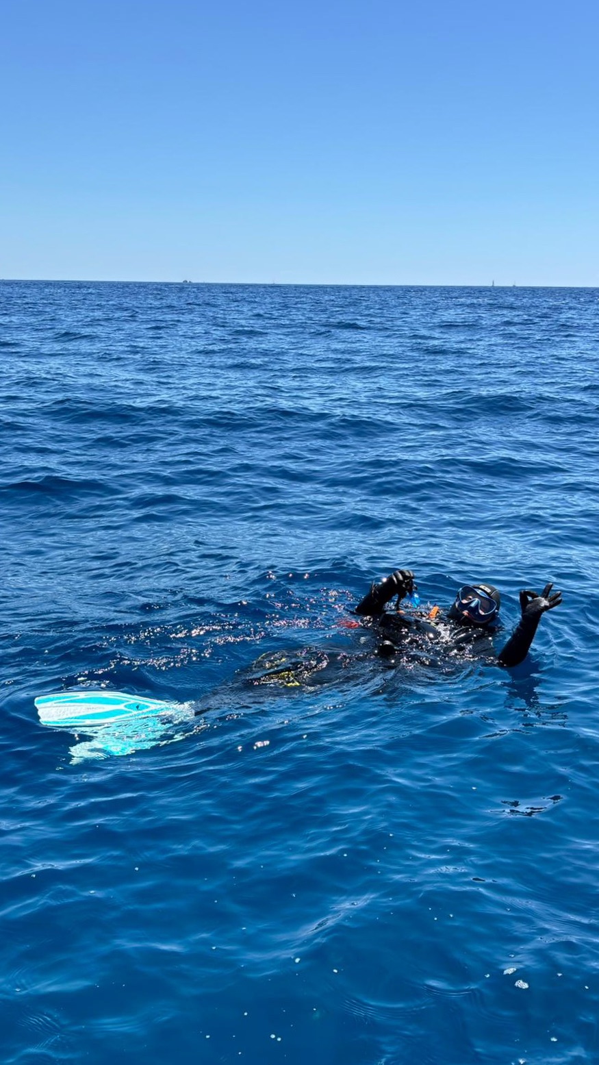 Vacanza Subacquea all'Isola d'Elba 2026 — 337