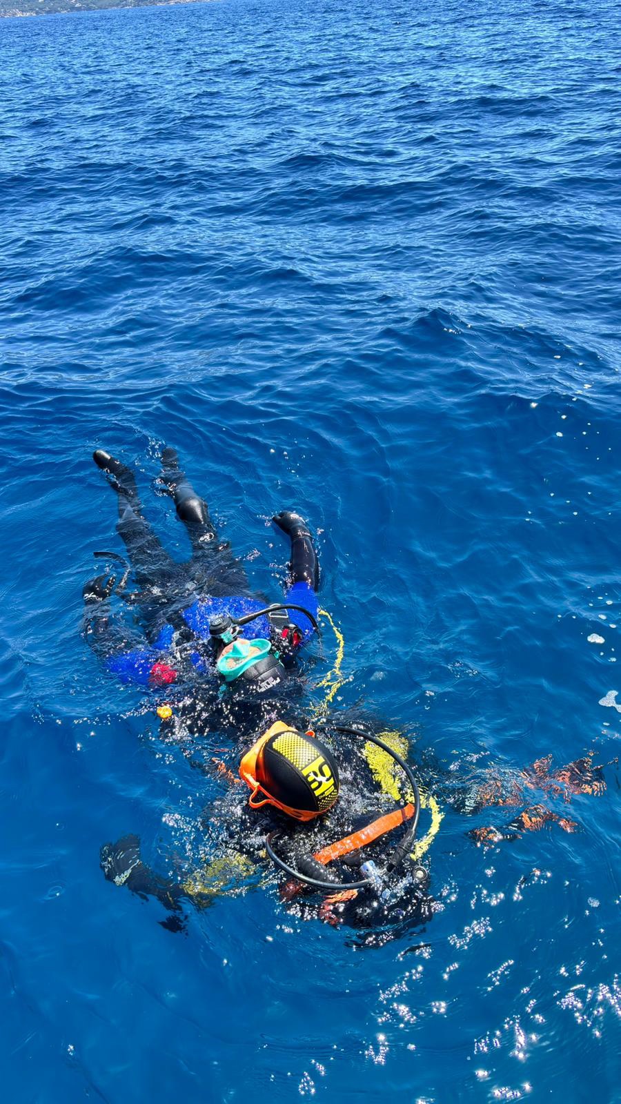 Vacanza Subacquea all'Isola d'Elba 2026 — 338