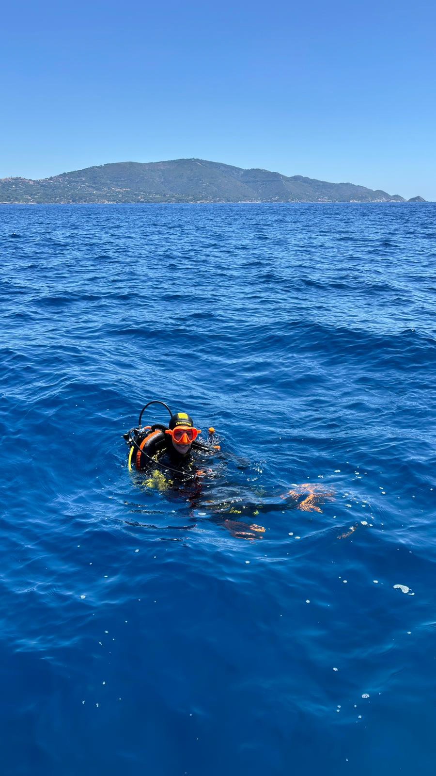 Vacanza Subacquea all'Isola d'Elba 2026 — 339