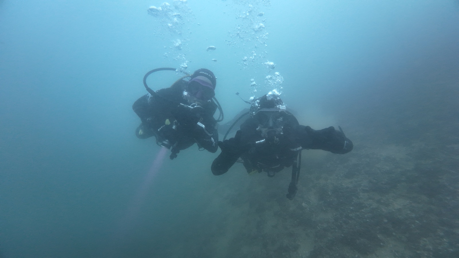 Immersione Punta S. Vigilio — 1